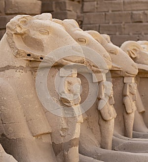 Alley of the ram-headed Sphinxes. Karnak Temple. Luxor, Egypt. photo