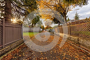 Alley in a residential neighborhood in the city suburbs.