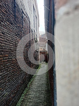 Alley in rotterdam photo