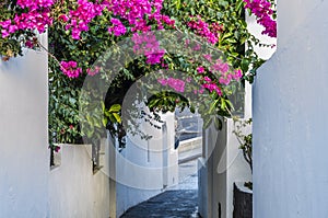 Alley with slope to the sea island stromboli italy