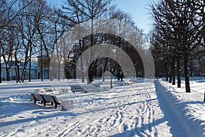 Alley of Smolny park. Sunny winter day. Sankt Petersburg, Russia