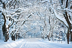 Alley in snowy morning