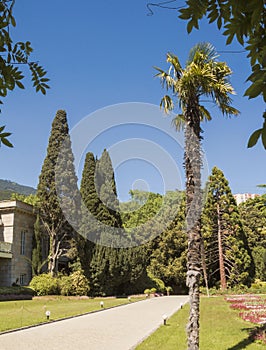 Alley in the South Park with palm trees, cypresses, pine trees, green lawns.