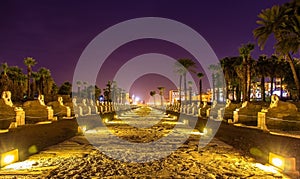 Alley of the Sphinxes in Luxor