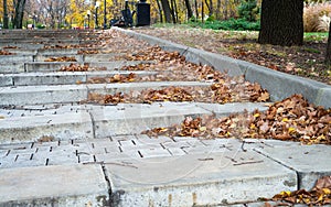 Alley with steps in the autumn park