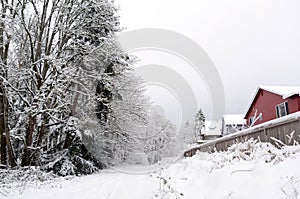 Alley in suburb of Seattle covered by fresh snow