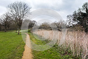 Alley towards the stone bridge in Cranford Park on an overcast day