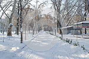 Alley, trees and cafes are covered with snow in the park