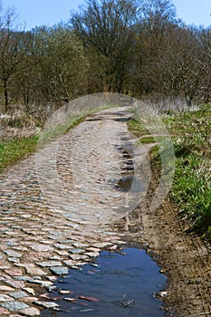 Alley, trees, high, road, footpath, ancient, journey, uncharted