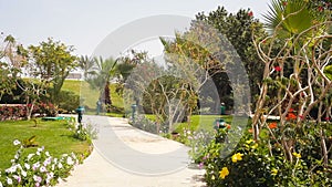 Alley for walks in the summer Egypt garden