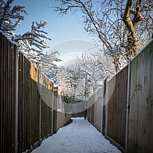 Alley Way With Wooden Fences And Trees Covered In Snow