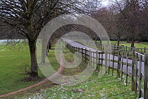 Alley and wooden fence in Cranford Park on an overcast day