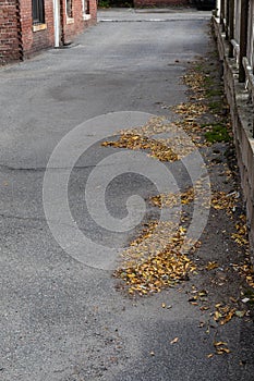 Alleyway with autumn leaves running between old brick apartment building and a block retaining wall with wood fencing