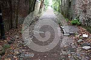 Alleyway in Charleston, SC