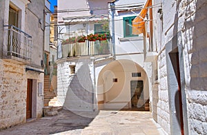 Alleyway. Minervino Murge. Puglia. Italy.