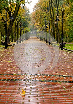 Alleyway with paved road to autumn park photo