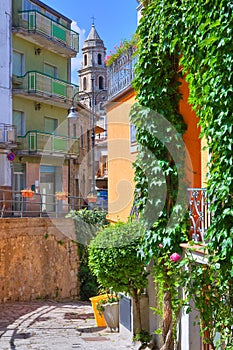 Alleyway. Satriano di Lucania. Italy.