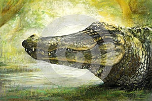 Alligator art in pastel