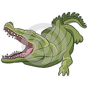 Alligator Cartoon