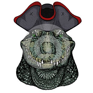 Alligator. Crocodilia. Portrait of african agressive animal. Cocked hat.