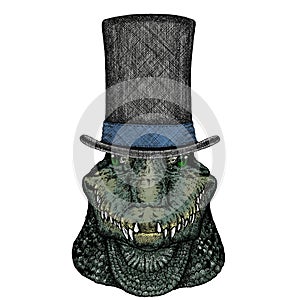 Alligator. Crocodilia. Portrait of african agressive animal. Cylinder hat.