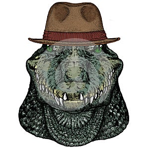 Alligator. Crocodilia. Portrait of african agressive animal. Fedora classic hat.