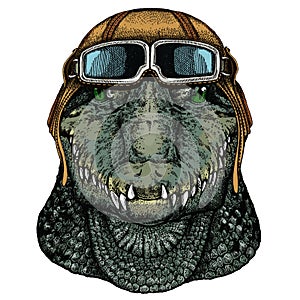 Alligator. Crocodilia. Portrait of african agressive animal. Vintage aviator helmet with googles.