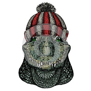 Alligator. Crocodilia. Portrait of african animal. Knitted wool winter hat.