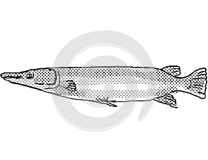 Alligator Gar or Atractosteus Spatula Freshwater Fish Drawing