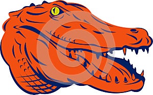 Alligator head mascot photo