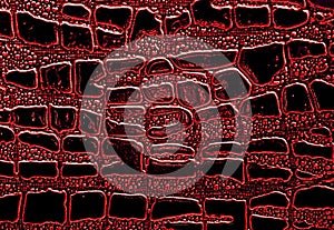 Alligator patterned background