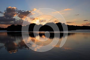 Alligator in Paurotus Pond in Everglades National Park, Florida, at sunset