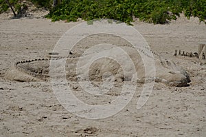 Alligator Sand Castle on a beach