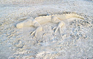 Alligator Sand Sculpture