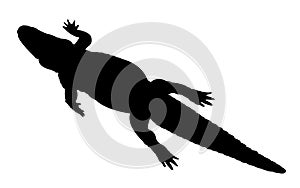 Alligator silhouette