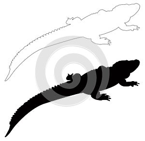 Alligator silhouette - crocodilian in the genus Alligator of the family Alligatoridae