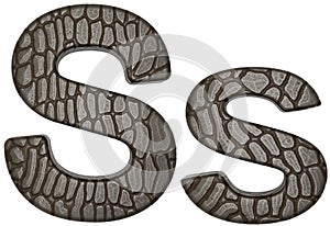 Alligator skin font S lowercase and capital letters photo