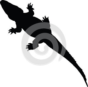 Alligator vector silhouette