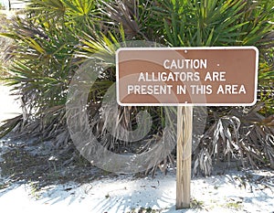 Alligator Warning Sign in Florida