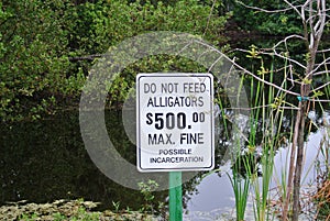 Alligator signage in a national park on Sanibel island Florida