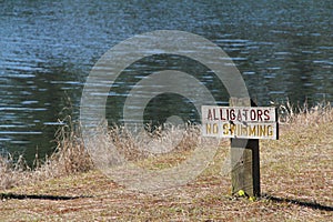 Alligators sign