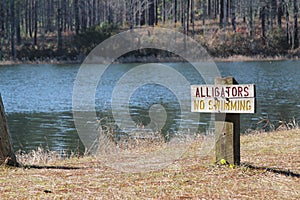 Alligators sign