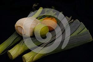 Allium ampeloprasum Vegetable Leek still life