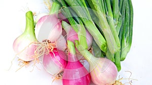 Allium cepa bulb onion with green leaves