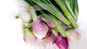 Allium cepa bulb onion with leaves