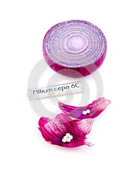 Allium cepa homeopathic medicine