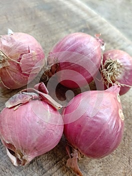 Allium cepa L. var. aggregatum or shallots are used for cooking spices and herbal medicine