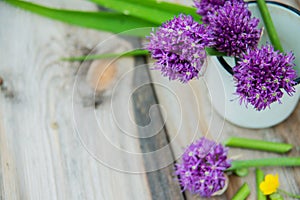 Allium flowers bouquet in a stylish metal decorative vase. Shallow depth of field