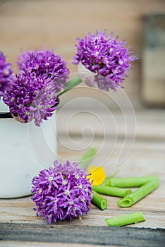 Allium flowers bouquet in a stylish metal decorative vase. Shallow depth of field