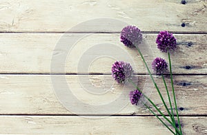 Allium flowers on natural wooden background